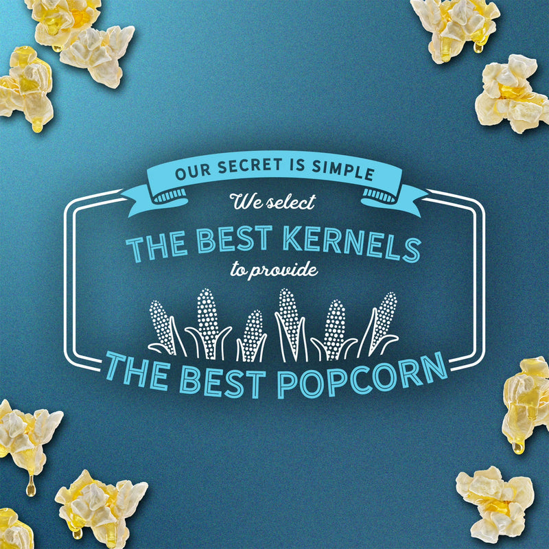 AMC Theatres Microwave Popcorn 6 count, Kettle Butter