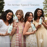 HAIRITAGE Sweet Apple Santal Volumizing Shampoo, 15 fl oz