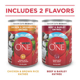 Purina ONE Tender Cuts in Gravy Chicken and Brown Rice, and Beef and Barley Entrees Wet Dog Food Variety Pack, 13 oz Cans