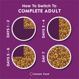 Purina Dog Chow Complete Dry Dog Food for Adult Dogs High Protein, Lamb, 44 lb Bag