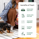 Freshpet Fresh Dog Food, Small Dog Chicken Recipe, Small Bites Freshly Roasted Meals, 1 lb