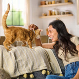 Meow Mix Original Choice Dry Cat Food, 30 lb. Bag