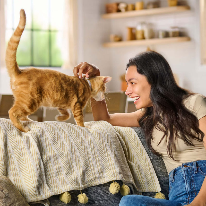 Meow Mix Original Choice Dry Cat Food, 30 lb. Bag