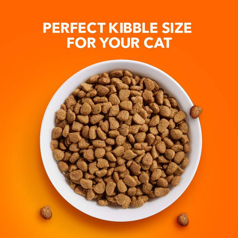 Iams Proactive Health Chicken And Turkey Dry Cat Food, 22 Lb Bag