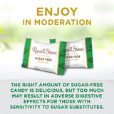 RUSSELL STOVER Sugar Free Toffee Squares in Chocolate Candy, 5.1 oz. bag