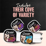Cesar Filets in Gravy Wet Dog Food, Rotisserie Chicken Flavor, 3.5 oz. Trays, Pack of 24