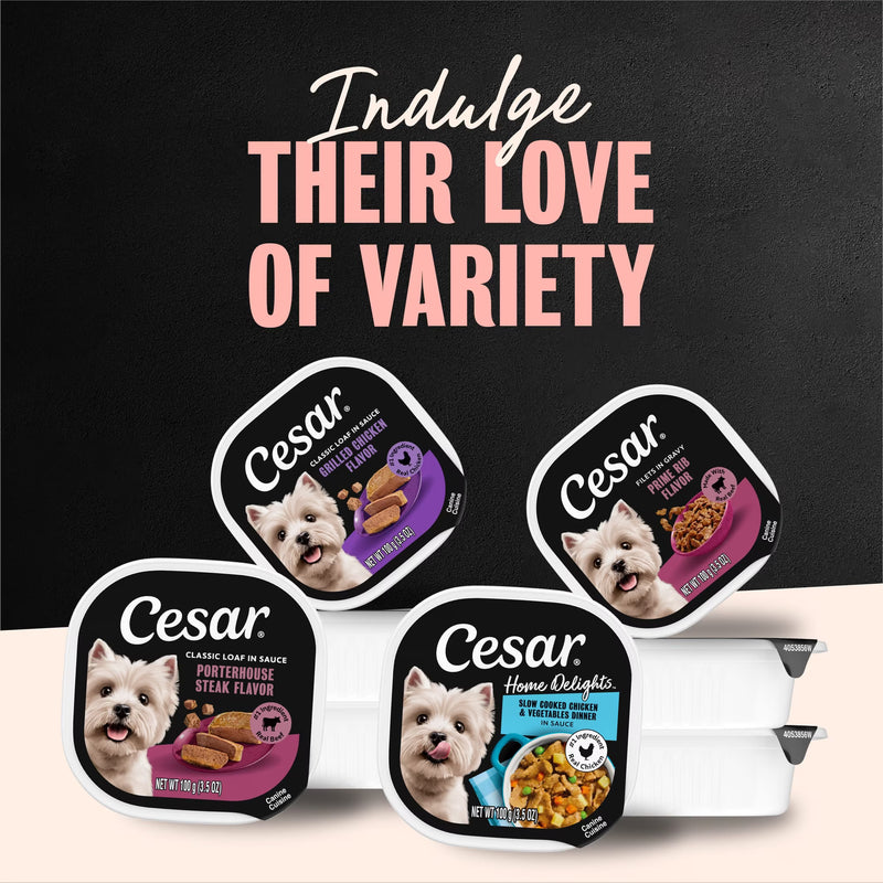 Cesar Filets in Gravy Wet Dog Food, Rotisserie Chicken Flavor, 3.5 oz. Trays, Pack of 24