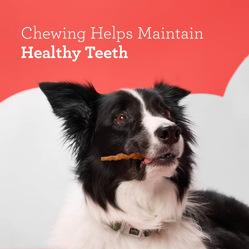 DreamBone Twists Wrapped with Chicken Rawhide-Free Dog Chews, 8.8 Oz. (36 Count)