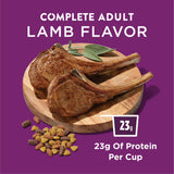 Purina Dog Chow Complete Dry Dog Food for Adult Dogs High Protein, Lamb, 18.5 lb Bag