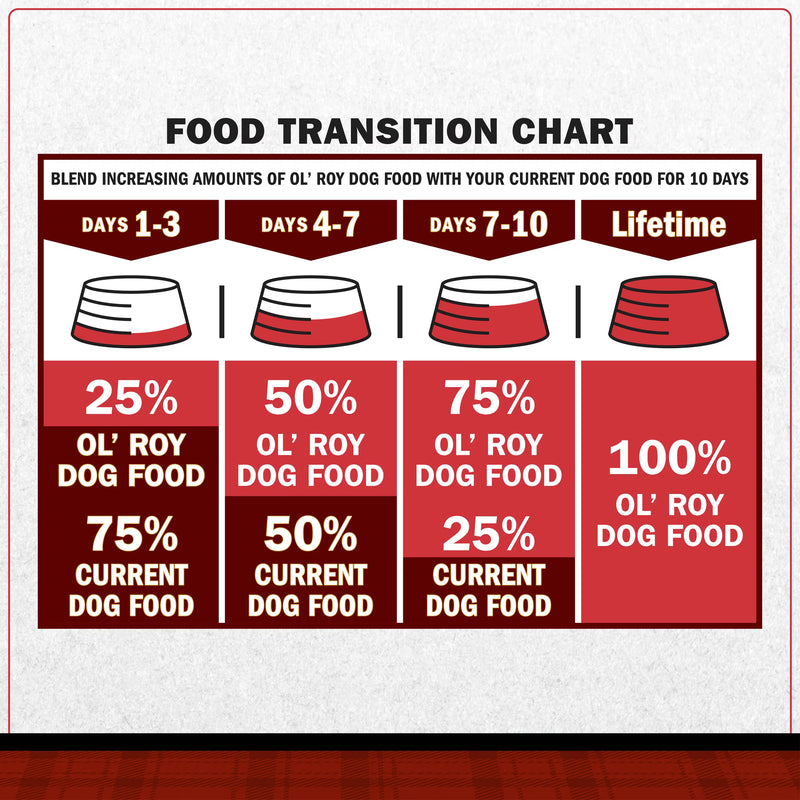 Ol' Roy Filet Mignon Flavor Cuts in Gravy Wet Dog Food, 13.2 oz Can