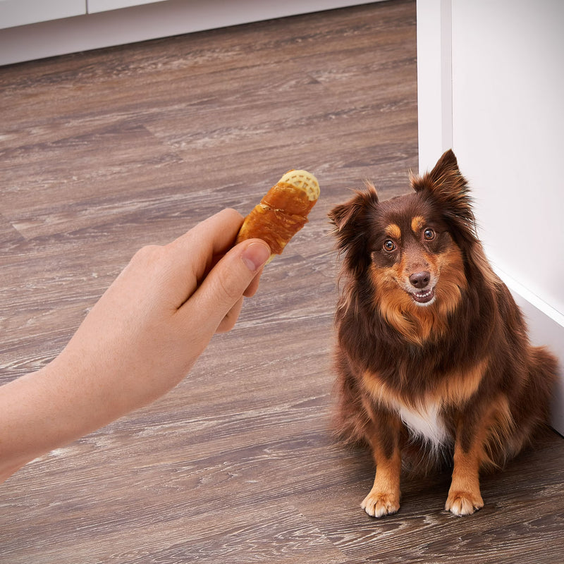 Golden Rewards Peanut Butter Flavor Biscuit Wrapped with Chicken Dry Biscuit Treats for Dogs, 32 oz