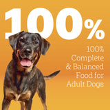 Pedigree Dry Dog Food for Adult Dogs, High Protein, Beef and Lamb Flavor, 40 lb. Bag