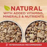 Purina ONE Tender Cuts in Gravy Chicken and Brown Rice, and Beef and Barley Entrees Wet Dog Food Variety Pack, 13 oz Cans