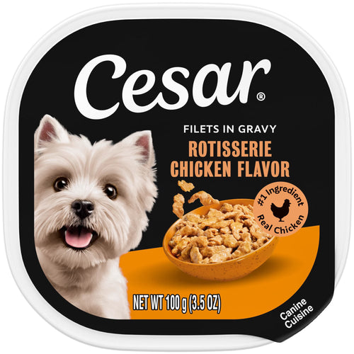 Cesar Filets in Gravy Wet Dog Food, Rotisserie Chicken Flavor, 3.5 oz. Trays, Pack of 24