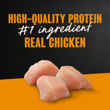 Cesar Filets in Gravy Wet Dog Food, Rotisserie Chicken Flavor, 3.5 oz. Trays, Pack of 24