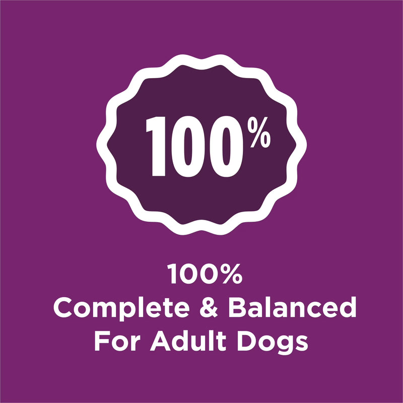 Purina Dog Chow Complete Dry Dog Food for Adult Dogs High Protein, Lamb, 18.5 lb Bag