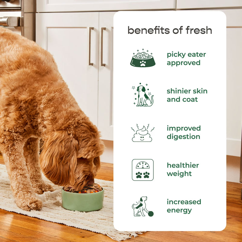 Freshpet Fresh Dog Food, Grain Free Chicken Recipe, Freshly Roasted Meals, 1.75 lb.