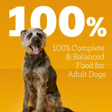 Pedigree Chopped Ground Dinner Filet Mignon & Beef Variety Pack Wet Dog Food, (12) 13.2 Oz Cans