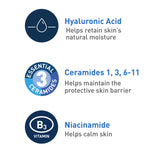CeraVe Foaming Facial Cleanser for Normal to Oily Skin, 12 fl oz
