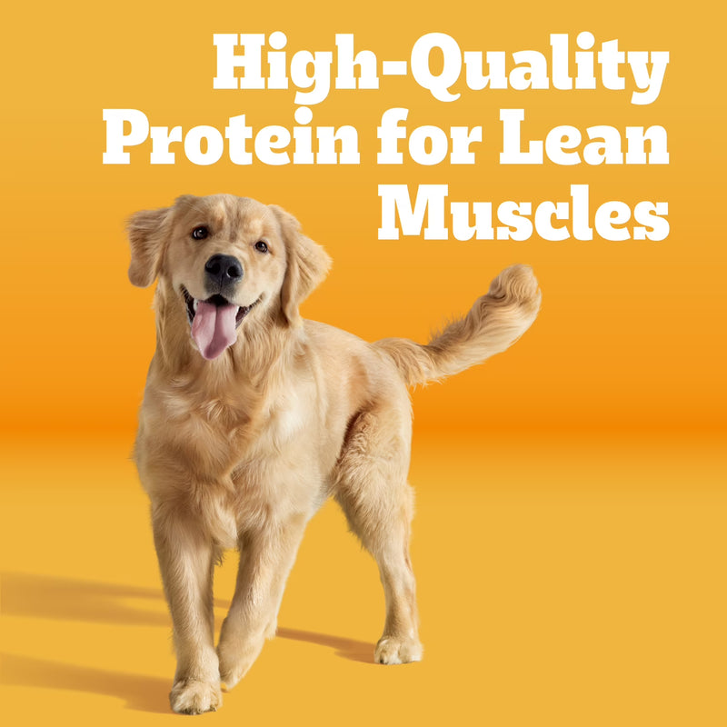 Pedigree Dry Dog Food for Adult Dogs, High Protein, Beef and Lamb Flavor, 40 lb. Bag