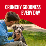 Milk Bone GravyBones Dog Biscuits, Gravy Coated Small Dog Treats, 19 oz Box
