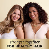 Pantene Pro-V Conditioner Daily Moisture Renewal, All Hair Types, 16.0 fl oz