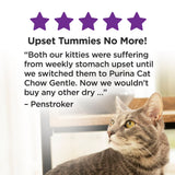 Purina Cat Chow Gentle Sensitive Stomach and Skin Dry Cat Food with Turkey