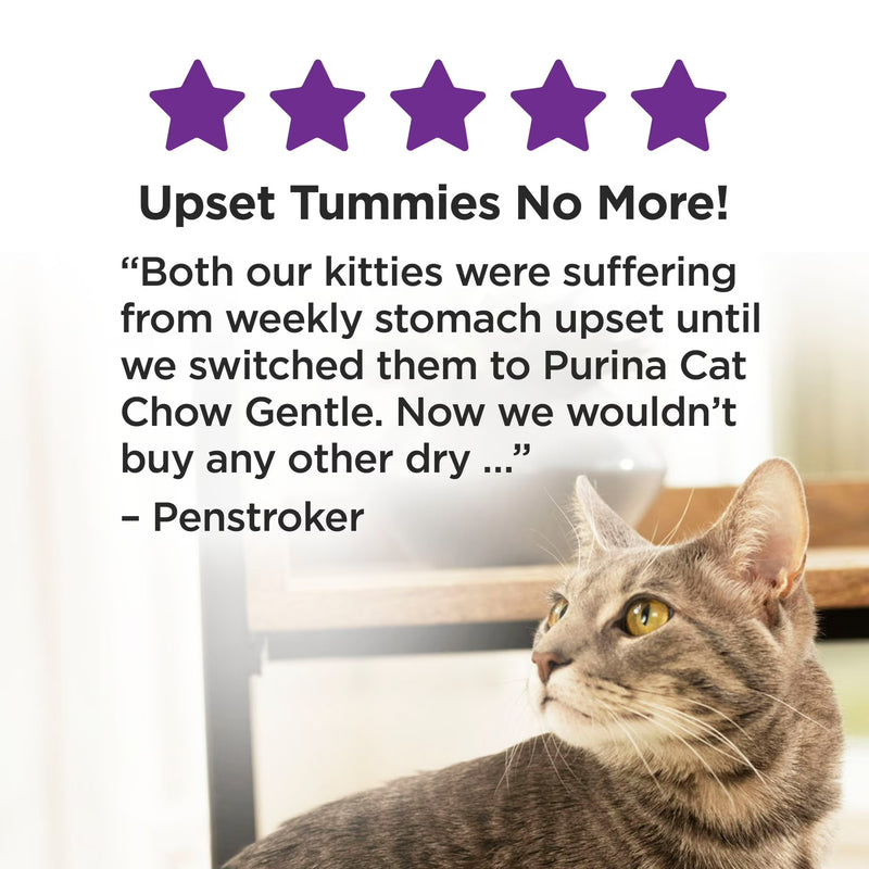 Purina Cat Chow Gentle Sensitive Stomach and Skin Dry Cat Food with Turkey