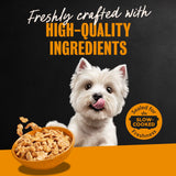 Cesar Filets in Gravy Wet Dog Food, Rotisserie Chicken Flavor, 3.5 oz. Trays, Pack of 24