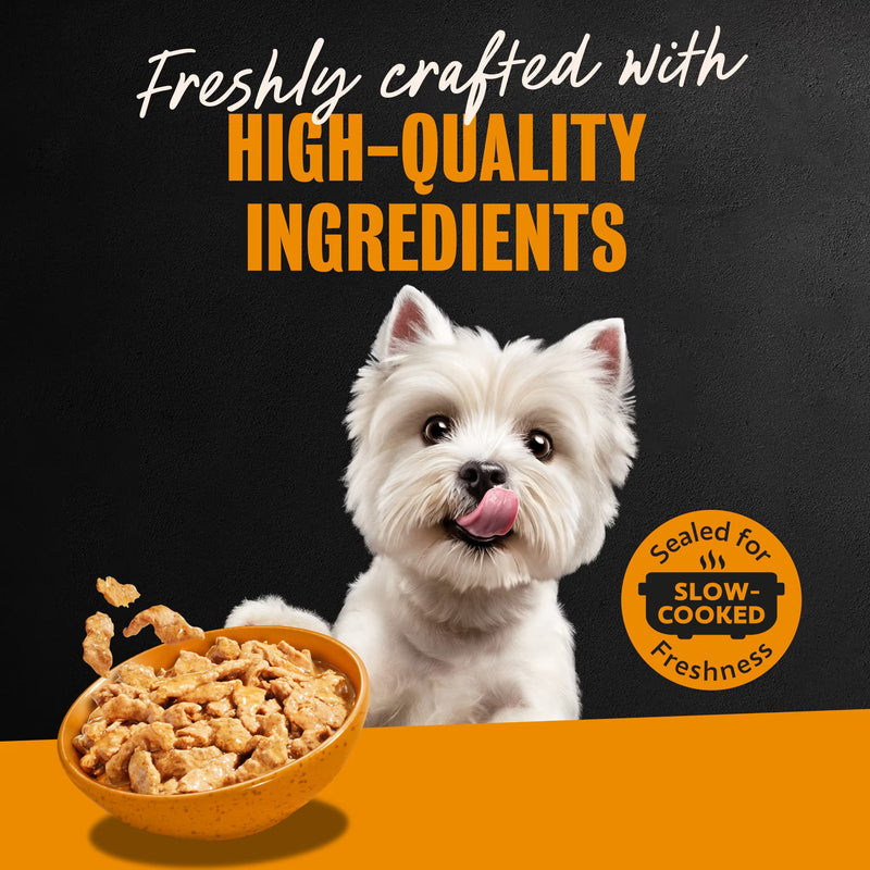 Cesar Filets in Gravy Wet Dog Food, Rotisserie Chicken Flavor, 3.5 oz. Trays, Pack of 24
