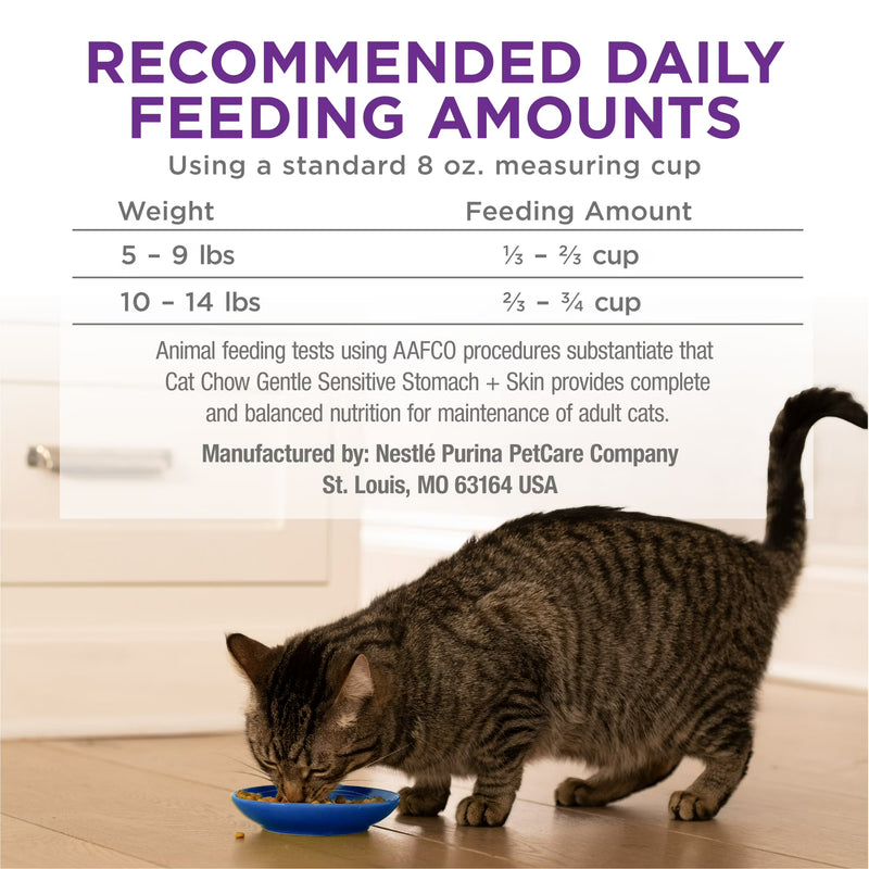 Purina Cat Chow Gentle Sensitive Stomach and Skin Dry Cat Food with Turkey