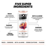 Lucky Energy Sugar Free Energy Drinks 16 oz Cans (12-pack), Variety Pack with Maca, Ginseng, Taurine, Beta-Alanine, 200mg Caffeine, Zero Calories