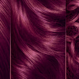 Clairol Natural Instincts Bold Hair Dye, Permanent Hair Color, F66 Dragon Fuchsia, 1 Application