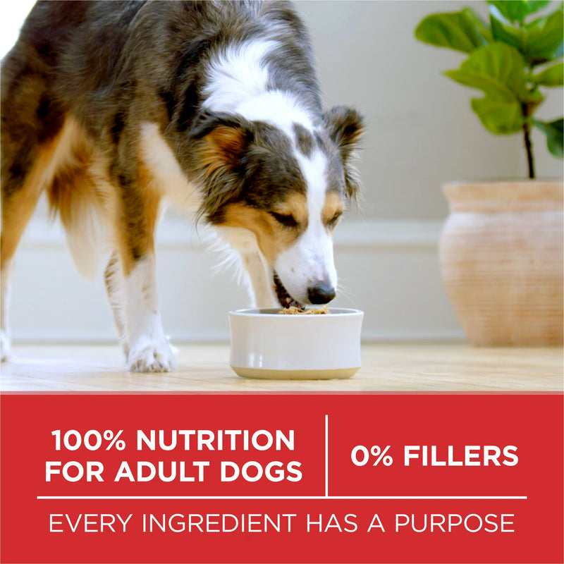 Purina ONE Plus Dry Dog Food for Adult Dogs, Real Protein Rich Natural Lamb & Rice Formula, 40lb Bag