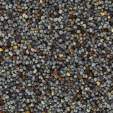 Great Value Organic Poppy Seeds, 2.4 oz