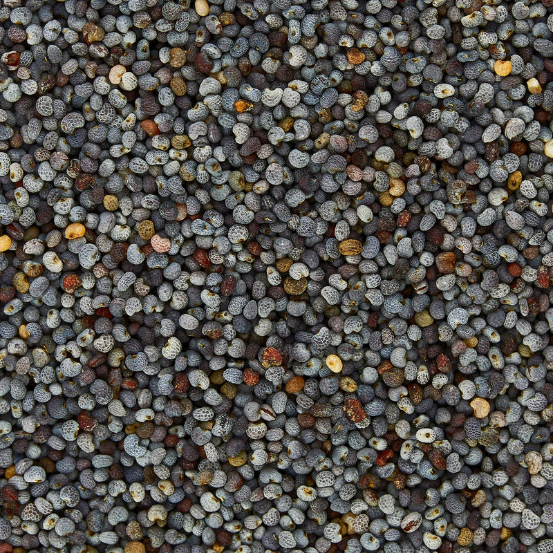 Great Value Organic Poppy Seeds, 2.4 oz