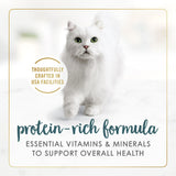 Purina Fancy Feast Gravy Lovers Kitten Food, Wet Cat Food, Tuna Feast in Gravy, 3 oz Cans