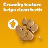 Pedigree Small Tasty Biscuits Dog Treats, Peanut Butter & Bacon Flavor, 64-oz Bag