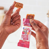 Perfect Bar Mini Gluten-Free PB&J Refrigerated Protein Bar, Kosher, 6 count, 1.05 oz