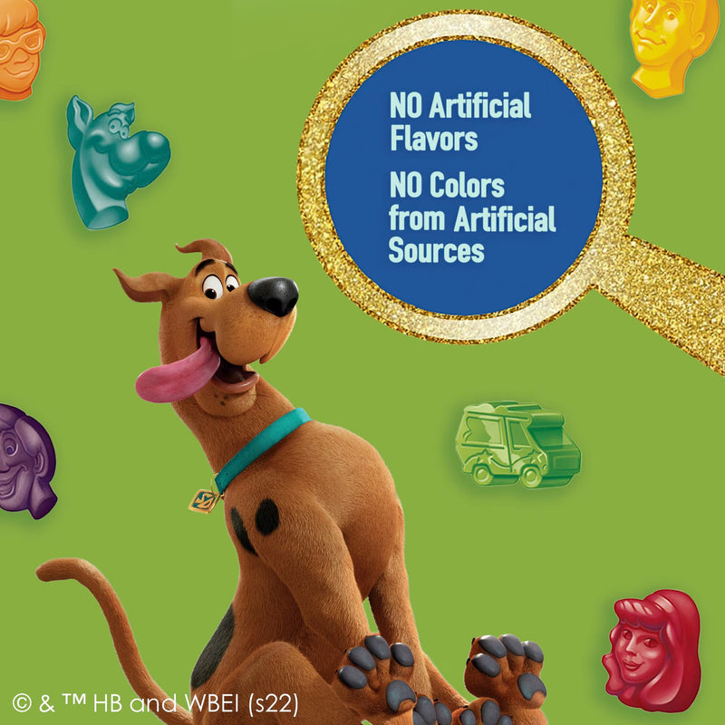Scooby-Doo Fruit Flavored Snacks, Gluten Free, Kids Snacks, Value Pack, 22 Count, 17.6 oz