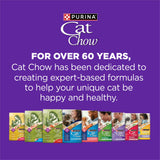 Purina Cat Chow Gentle Sensitive Stomach and Skin Dry Cat Food with Turkey