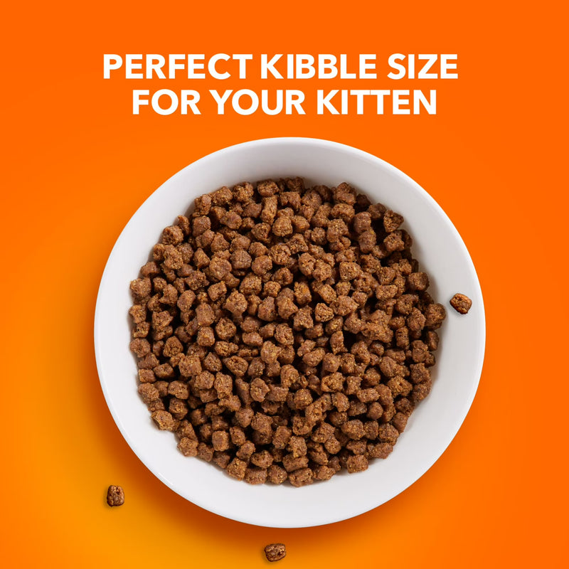 Iams Proactive Health Chicken Dry Cat Food For Kittens, 7 Lb Bag