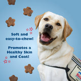 Bil-Jac VetDogs Veteran's K-9 Corps Skin & Coat Formula, Soft & Moist Dog Treats, Chicken, 10 oz