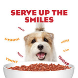 Purina Moist & Meaty Dry Dog Food, High Protein Steak Flavor with Real Beef, 12 Count