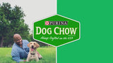 Purina Dog Chow Complete Dry Dog Food for Adult Dogs High Protein, Lamb, 44 lb Bag