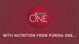 Purina One Dry Dog Food for Adult Dogs High Protein, Real Chicken & Rice, 16.5 lb Bag