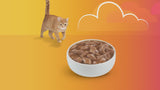 Purina Friskies Wet Cat Food Pate Variety Pack Salmon Dinner, Turkey and Giblets Dinner and Mixed Grill, 5.5 oz.